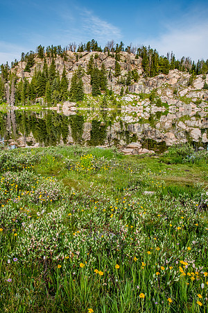 Beartooth Mountains