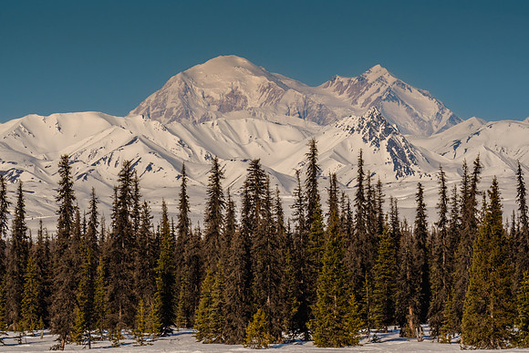 Denali National Park