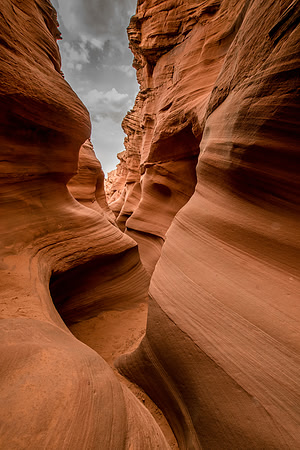 Rattlesnake Canyon