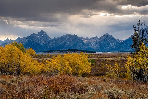 Willow Flats