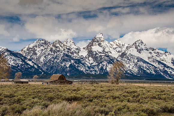 Mormon Row