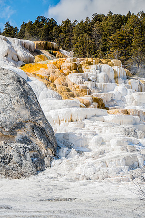Minerva Terrace Mammoth Hot Springs