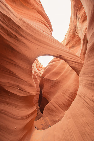 Rattlesnake Canyon