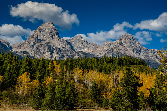 Taggert Trail