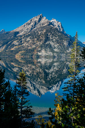 Jenny Lake