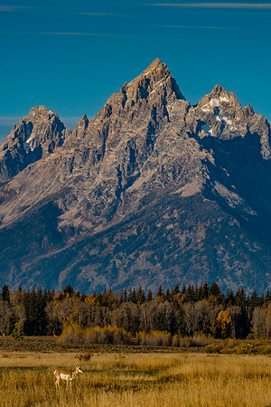 Elk Ranch Flats