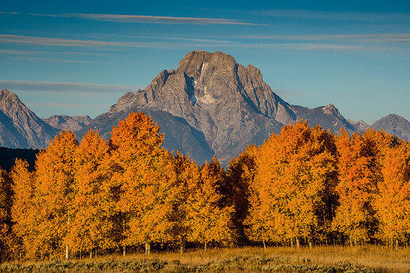 Oxbow Bend