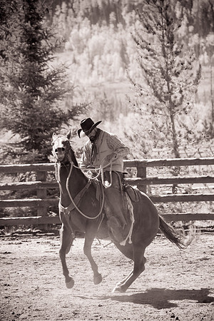 Cowboys
