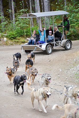 Alaska Dog Mushing