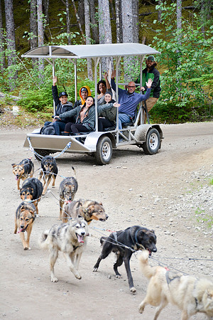 Alaska Dog Mushing
