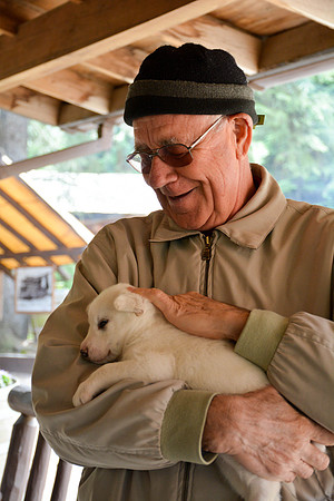 Alaska Dog Mushing