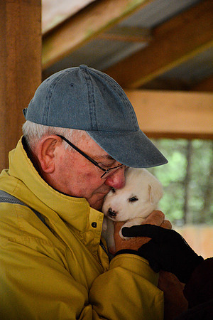 Alaska Dog Mushing