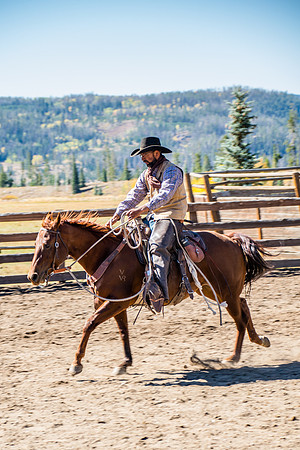Cowboys