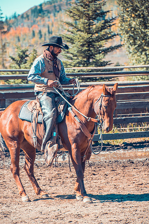 Cowboys