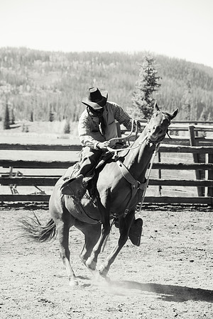 Cowboys