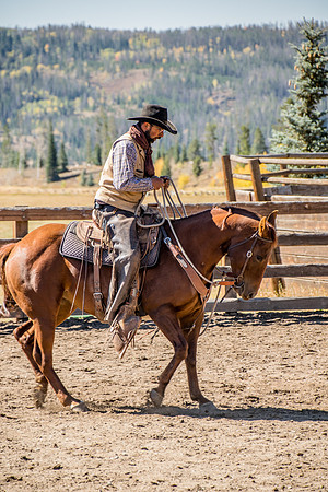 Cowboys