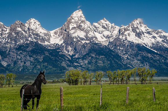 Mormon Row