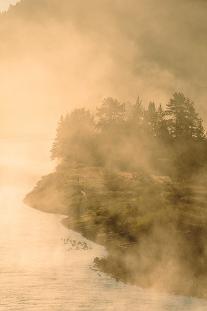 Golden Sunrise