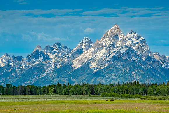 Elk Ranch Flats