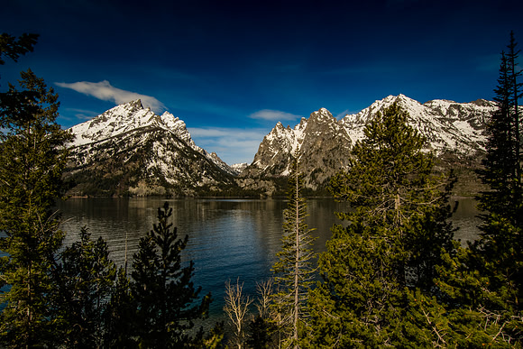 Jenny Lake