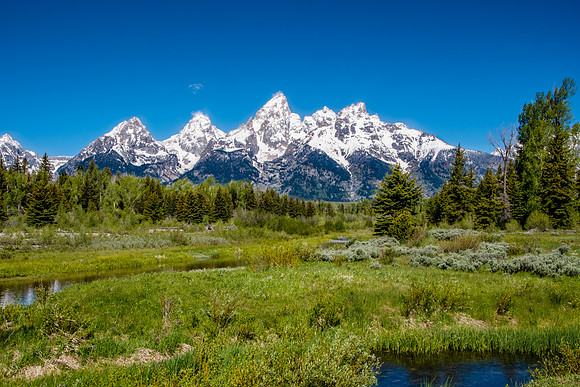 Schwabacher's Landing