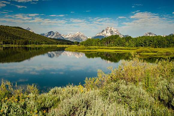 Oxbow Bend