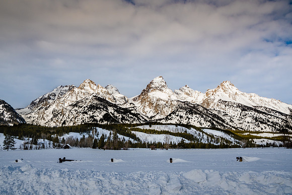 Elk Ranch Flats