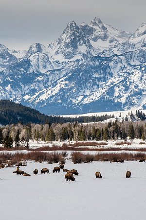 Elk Ranch Flats