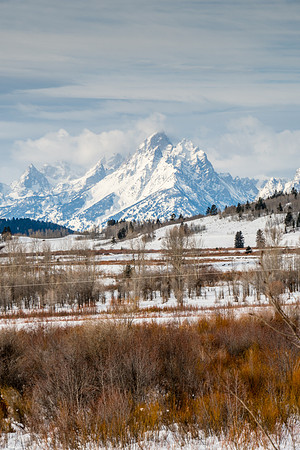 Willow Flats