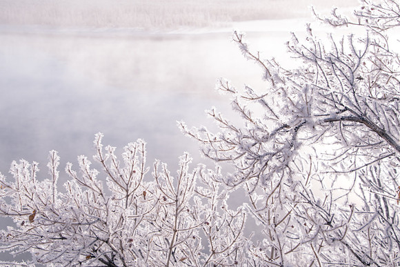Winter in the Tetons