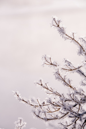 Winter in the Tetons