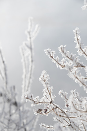 Winter in the Tetons