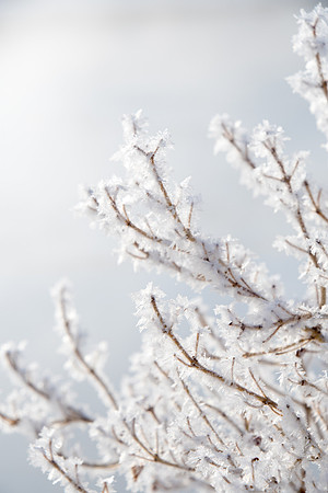 Winter in the Tetons