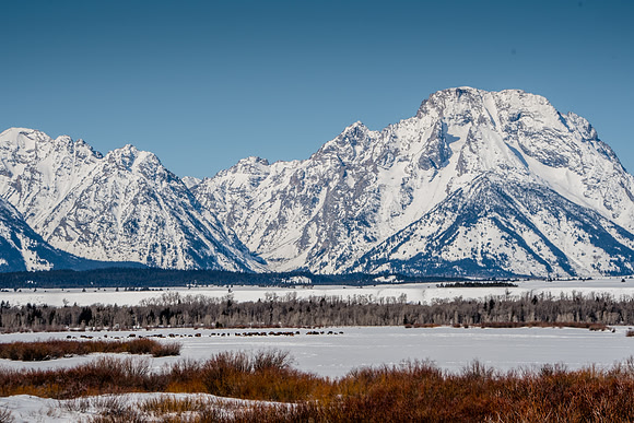Willow Flats