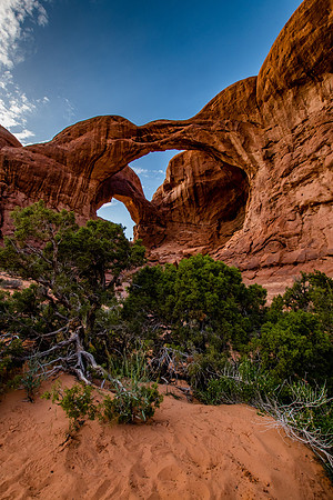 Arches National Park