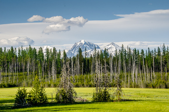 McGee Meadow North Fork