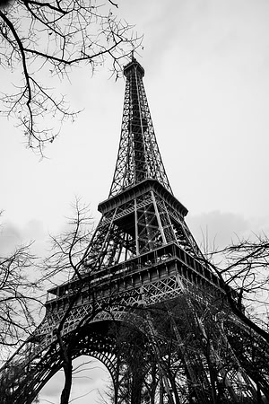 Paris Eiffel Tower