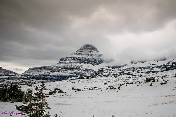 Snow covered Mount Reynolds