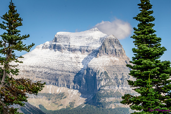 Pollock Mountain