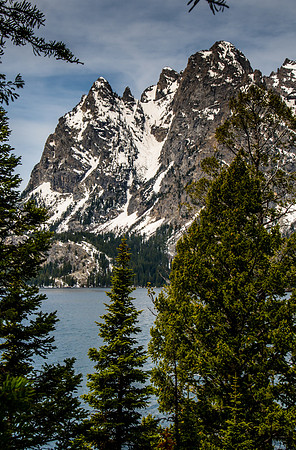 Jenny Lake