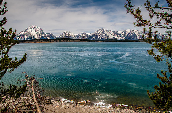 Jenny Lake