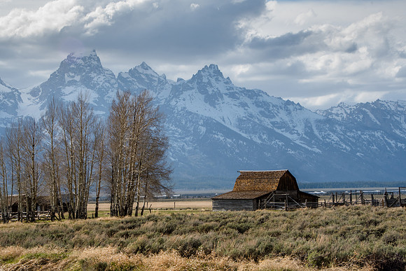Mormon Row