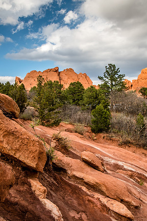 Red Rocks Garden of the Gods