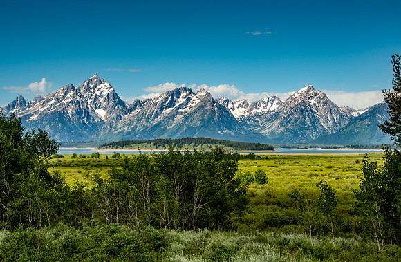 Willow Flats
