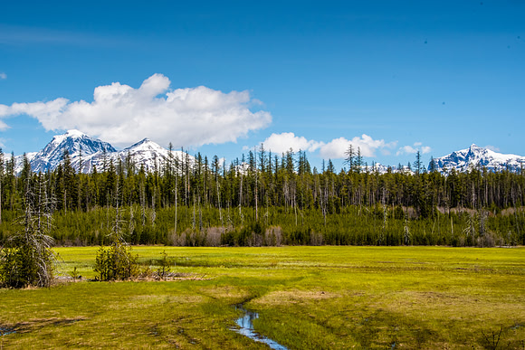 McGee Meadow Glacier National Park