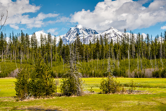 McGee Meadow