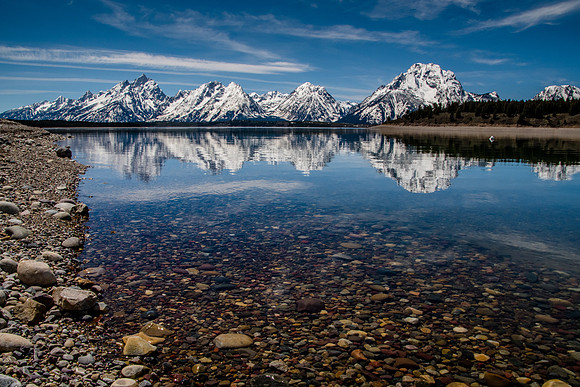 Jackson Lake