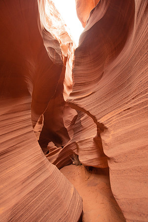 Rattlesnake Canyon