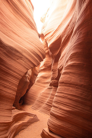 Rattlesnake Canyon