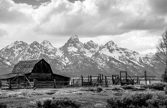Mormon Row